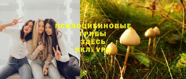 apvp Верея
