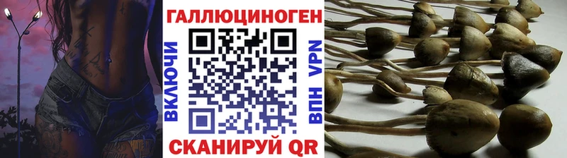 мега рабочий сайт  Шимановск  Псилоцибиновые грибы мухоморы 